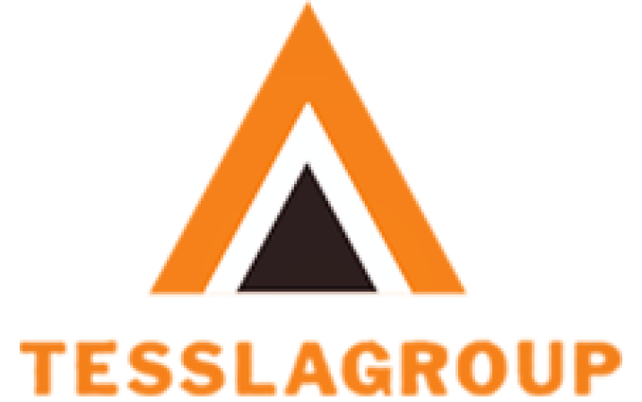 teslagroup 1